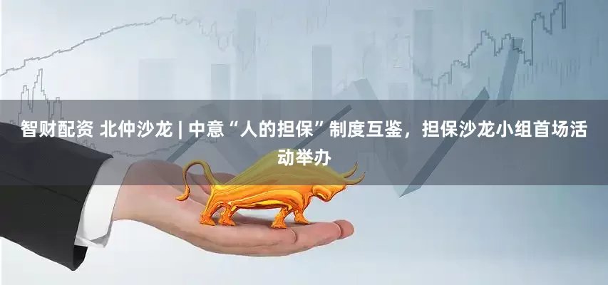 智财配资 北仲沙龙 | 中意“人的担保”制度互鉴，担保沙龙小组首场活动举办