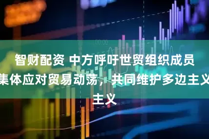 智财配资 中方呼吁世贸组织成员集体应对贸易动荡，共同维护多边主义